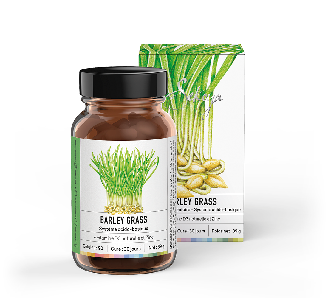 Barley grass - Sekoya