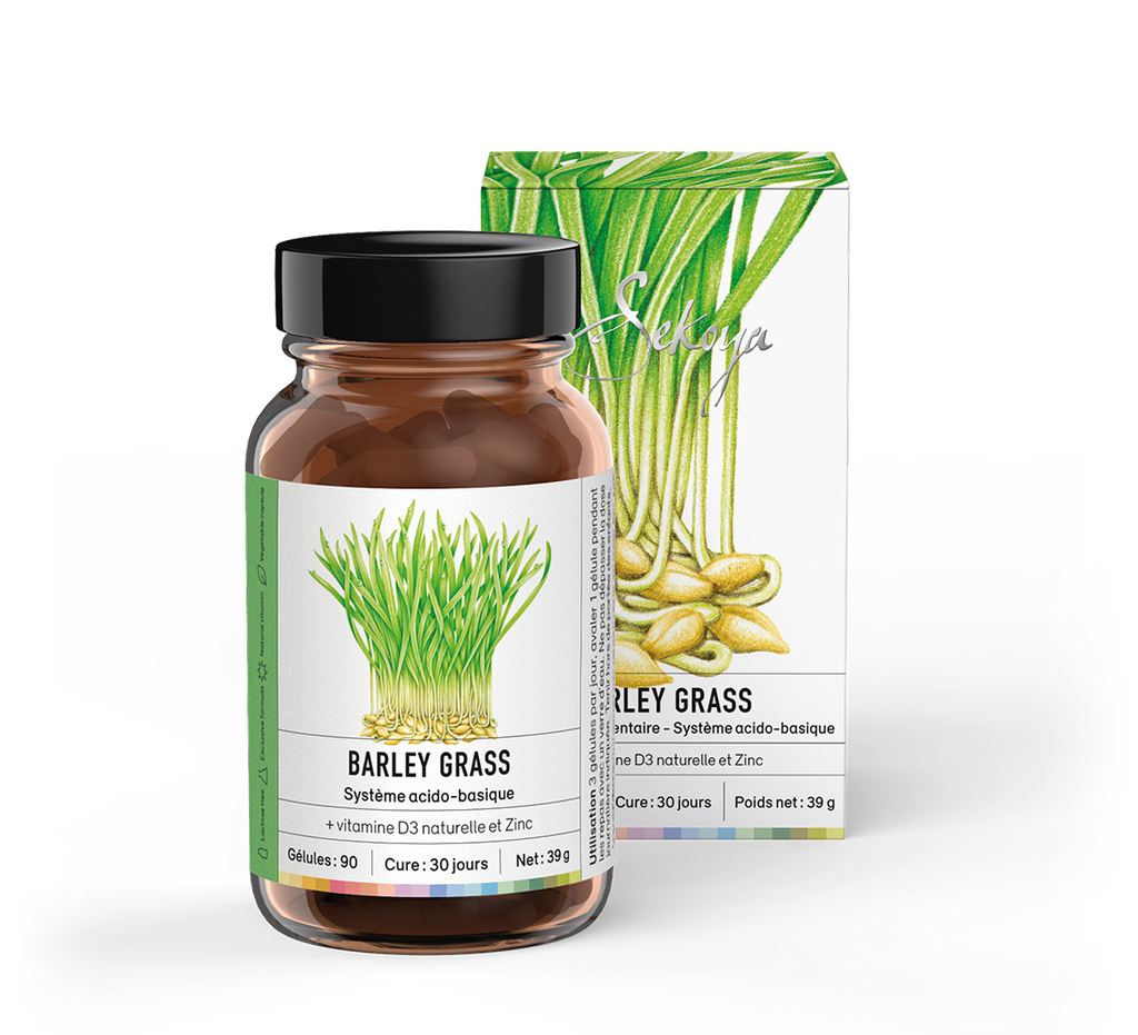 Barley grass - Sekoya