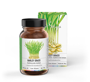 Barley grass - Sekoya