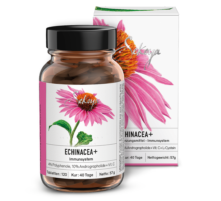 Échinacée +