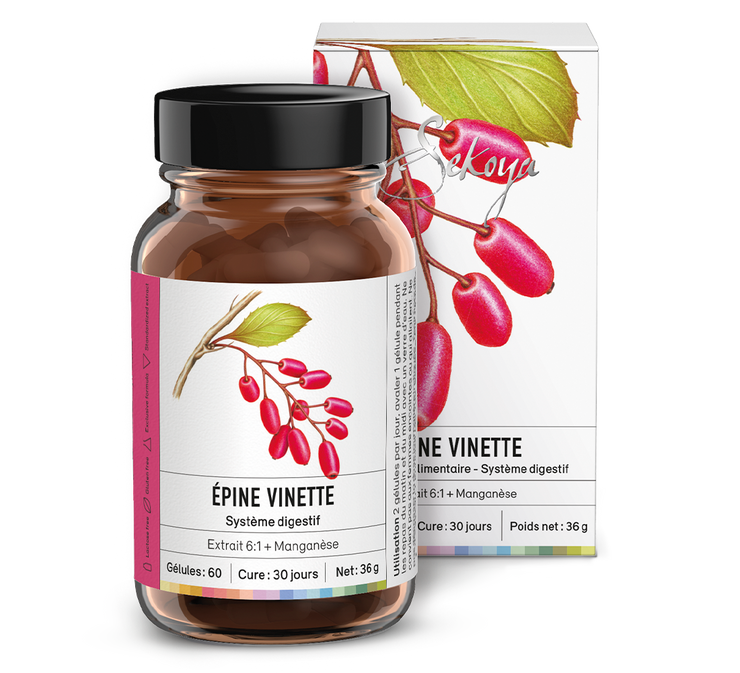 Epine vinette